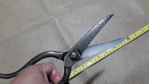 กรรไกรขาเดี่ยว GERMANY