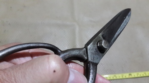 กรรไกรขาเดี่ยว GERMANY