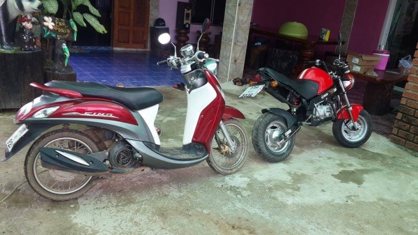 ขายมอไซร์ Stallions ราคาถูก