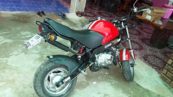 ขายมอไซร์ Stallions ราคาถูก ขายมอไซร์ Stallions ราคาถูก