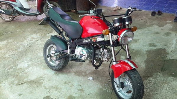 ขายมอไซร์ Stallions ราคาถูก ขายมอไซร์ Stallions ราคาถูก