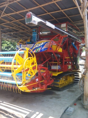 ขายด่วน! จ้าวช้างไวไฟ ปี55ปายปี(1,550,000)บาท