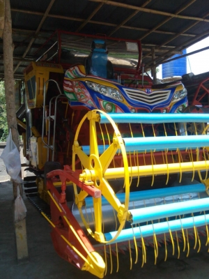 ขายด่วน! จ้าวช้างไวไฟ ปี55ปายปี(1,550,000)บาท