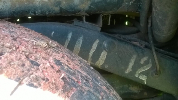 ขายตามสภาพ ISUZU TFR 90 ไฟใหม้ที่หัวเก๋ง เครื่องสตาร์ทติดได้ปกติ คัสซีสวยตลอดเส้น แอร์ พาวเวอร์ครบ ทะเบียนพร้อม