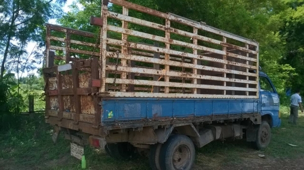 ขาย 6 ล้อ ISUZU KS22 ยกหัวได้ เครื่อง 4BD1 110 แรงม้า คัสซีสวยตลอดเส้น มีคอกเหล็กพร้อมบรรทุก ทะเบียนพร้อมโอนครับ