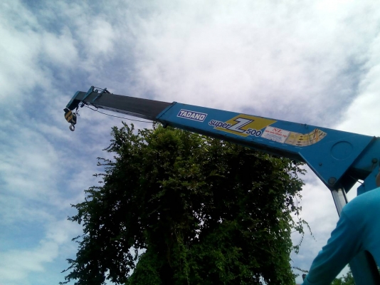 ขาย ราคา 1,070,000บ สิบล้อ2เพา มิตซู ไอ้หลง FN527-TF3&times;&times;&times;~220โบว์ เบครเกียร์ใหญ่10 สปีส 2เพา เครน ทานาโด 5 ตัน สภาพดีสวย ทะเบียนพร้อมโอน (แยกขายก็ได้) ครับ