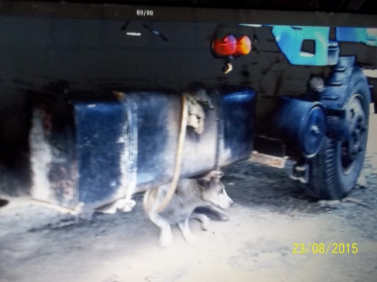 ขาย6 ล้อดั้มอิซูสุ NPR  ช่วงสั้น 115 แรงม้า เอกสารพร้อมโอน