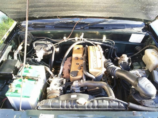 !!!!!! ขายด่วน อีซูซุ ทีเอฟอา มังกรทองกระบะตอนเดียว ปี 37 เครื่องดี ช่วงล่างแน่น