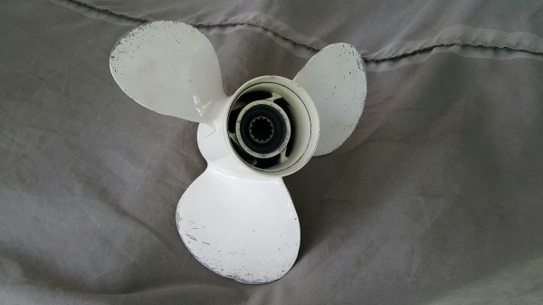 ใบ Yamaha พิท 14