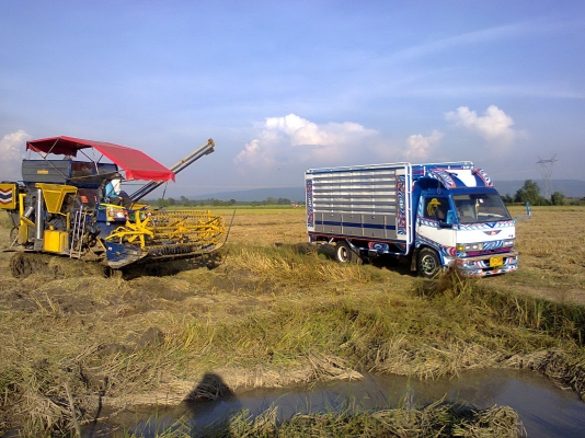 6ล้อดั้มเกษตร