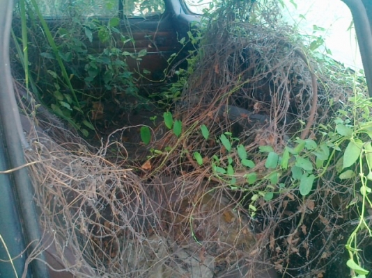 ขายรถคลาสสิค สโกด้า สภาพต้องเอาไปปั้น รถเคยขี่ได้ แต่จอดนานมาก แต่เครื่องเกียร์ดีแน่นอนเติมน้ำมันใส่แบตก้สตาทติดแล้วคับ