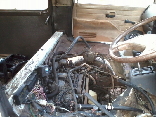 บัดดี้หลังคาสูง