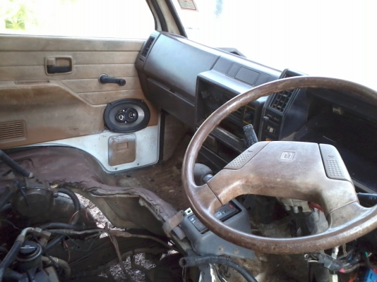 บัดดี้หลังคาสูง