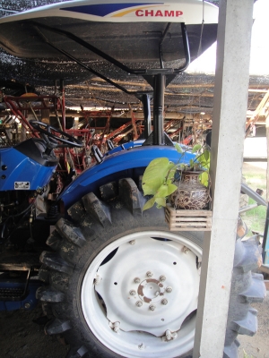 ขายแทรกเตอร์แชมป์ YTO 454 4X4 WD ใบมีดดันหน้า สภาพดีมากครับ