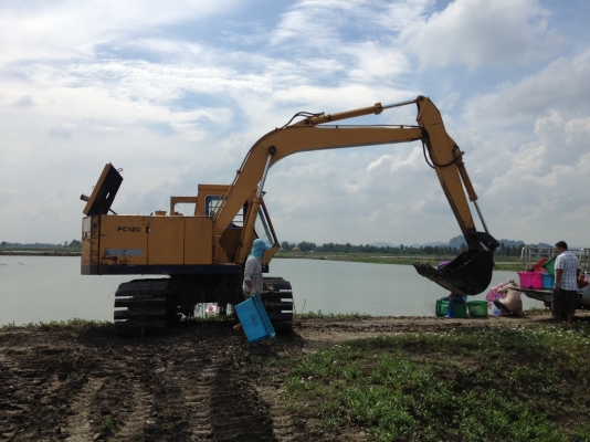 ขายแบคโฮKOMATSU PC120-2สภาพสวยพร้อมใช้งาน