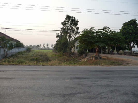 ห่างถนน ทล11อุตรดิตถ์-พิษณุโลก 1กิโลเมตรทางไปโรงงานน้ำตาลไทยเอกลักเยื้องปั๊มนำมัน ปตท เก่า เนื้อที 3 งานกว่า สนใจโทร 08-66618881 ห่างถนน ทล11อุตรดิตถ์-พิษณุโลก 1กิโลเมตรทางไปโรงงานน้ำตาลไทยเอกลักเยื้องปั๊มนำมัน ปตท เก่า เนื้อที 3 งานกว่า สนใจโทร 08-66618881