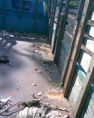 ุ6 ล้อ อีซูซุ