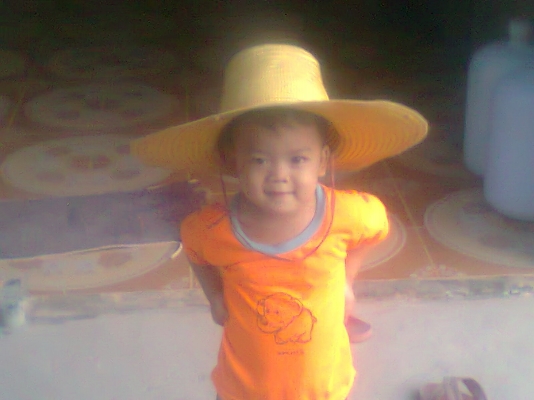 ขายที่ดิน 2 ไร่ มีโฉนด