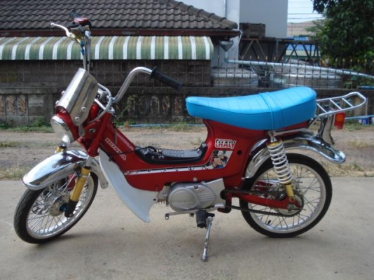 ชาลี ประกอบใหม่ สีสวยๆ