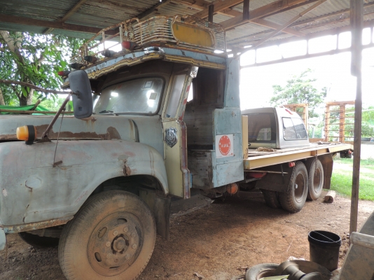 ขายเทลเลอร์ หน้ายาว