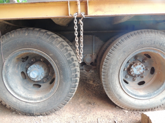 ขายเทลเลอร์ หน้ายาว