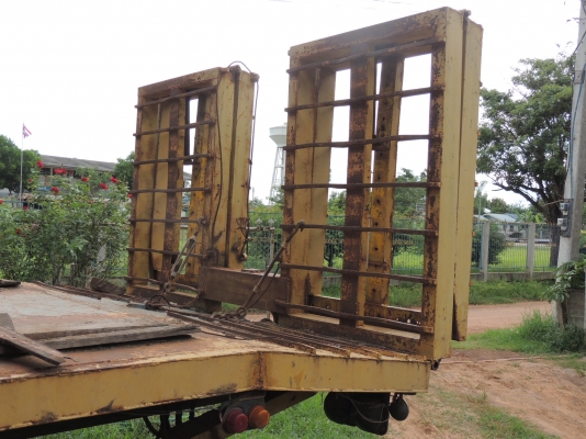 ขายเทลเลอร์ หน้ายาว