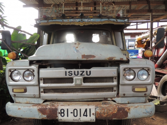 ขายเทลเลอร์ หน้ายาว