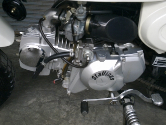 (มั้งกี้)สตาเลียนออโต้คลัตช์ รถใหม่ ยังไม่ได้จดทะเบียน วิ่ง800โล