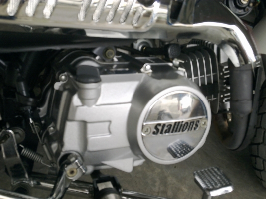 (มั้งกี้)สตาเลียนออโต้คลัตช์ รถใหม่ ยังไม่ได้จดทะเบียน วิ่ง800โล