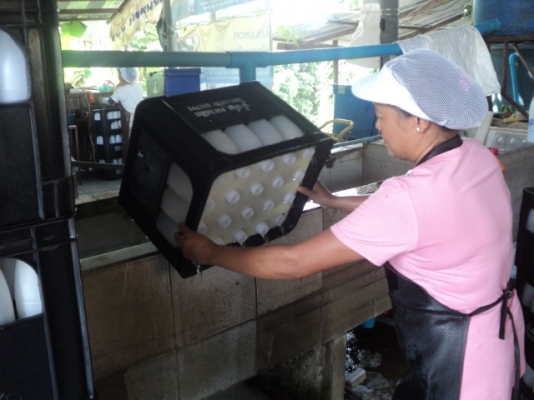 ขายเครื่องปั้นอิฐบล็อกพร้อมอุปกรณ์