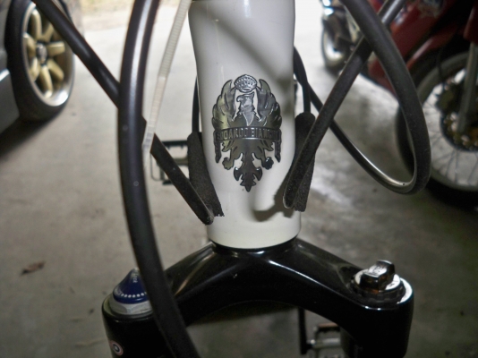 ขายจักรยานTREKและBIANCHI