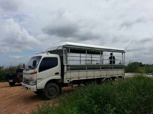 HINO XZU 423R 136HP ช่วงยาว 5 เมตร(ขาย 660,000 )