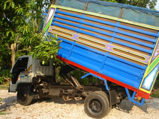 ขาย อีสุสุ 110 แรงม้า ดั๊มเกษตร สภาพพร้อมใช้ เจ้าของขายเอง ต่อรองได้ ขาย อีสุสุ 110 แรงม้า ดั๊มเกษตร สภาพพร้อมใช้ เจ้าของขายเอง ต่อรองได้