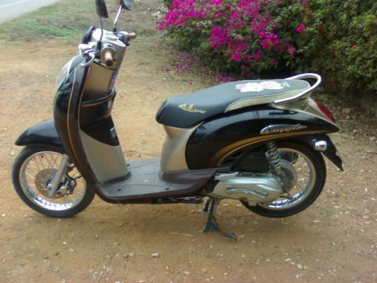 สกุ๊ปปี้ไอปลายปี52