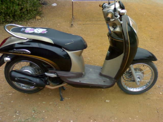 สกุ๊ปปี้ไอปลายปี52