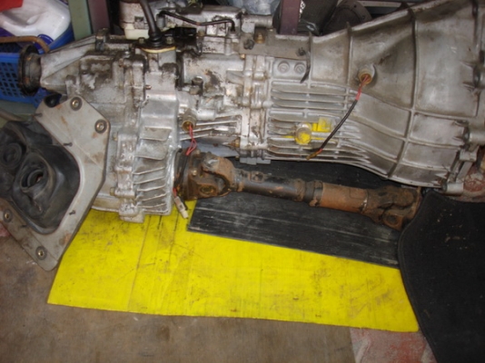 ของของแต่ง TROOPER ของของแต่ง TROOPER