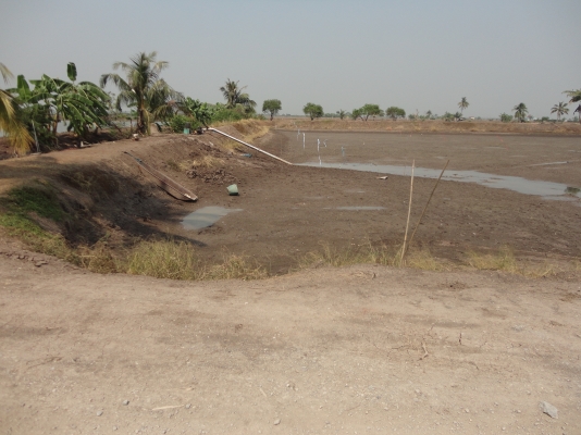 ขายที่ดิน+ไม่มีสิ่งปลูกสร้างราคาถูกมากสนใจติดต่อโทร.083-713-8467