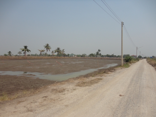 ขายที่ดิน+ไม่มีสิ่งปลูกสร้างราคาถูกมากสนใจติดต่อโทร.083-713-8467