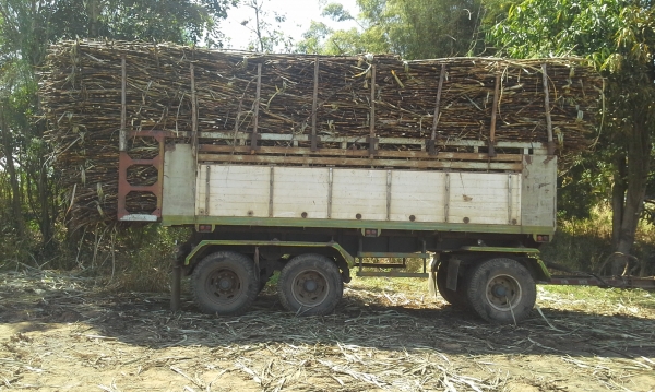 ลูกพ่วงดั้ม หน้าพระลานสามเพลายัด ยังไม่ลงเล่ม พร้อมใช้ ลูกพ่วงดั้ม หน้าพระลานสามเพลายัด ยังไม่ลงเล่ม พร้อมใช้