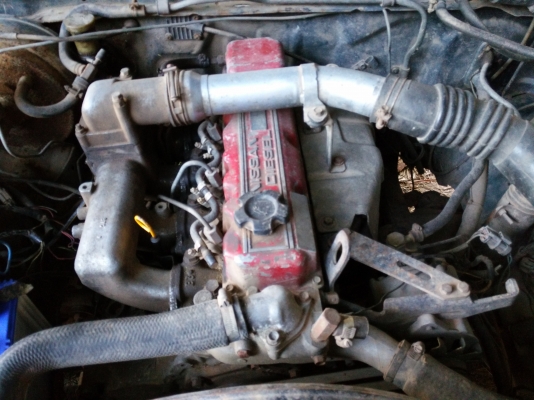 ขายนิสสัน บิ๊กเอ็มเครื่องดีแซสซีสวย