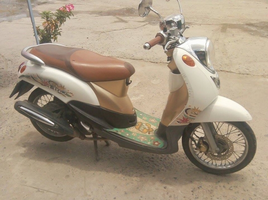 ขายเหมา yamaha fino 3 คัน