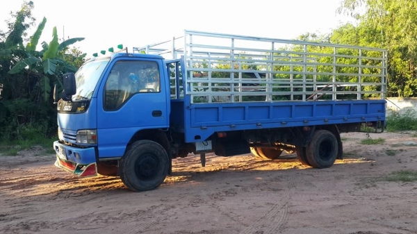 ขาย6ล้อกลางisuzu NQR130เทอร์โบว์อินเตอร์ ปี47 แชชซีสวย เครื่องเดิม เกียร์เดิม เอกสารเล่มทะเบียนพร้อมโอน