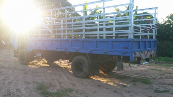 ขาย6ล้อกลางisuzu NQR130เทอร์โบว์อินเตอร์ ปี47 แชชซีสวย เครื่องเดิม เกียร์เดิม เอกสารเล่มทะเบียนพร้อมโอน