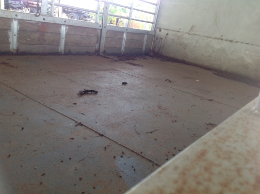 ขายหกล้อ 175 กระบะคาร์โก้ ขายหกล้อ 175 กระบะคาร์โก้