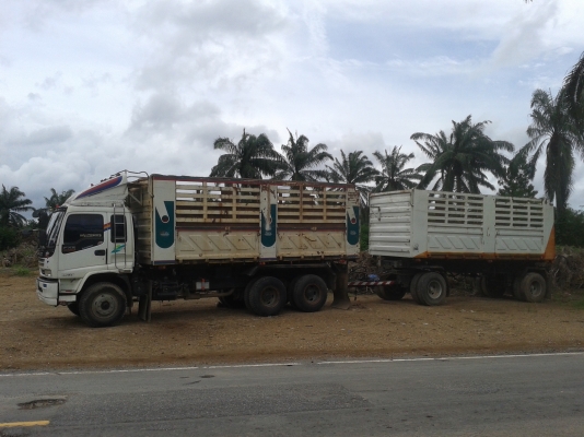 DECA 320 ปี50 แม่-ลูก หางสามมิตร2เพลา ปี49 DECA 320 ปี50 แม่-ลูก หางสามมิตร2เพลา ปี49