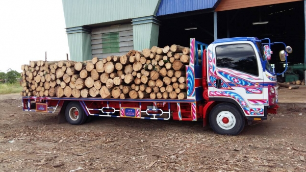 ขายถูกๆครับ495000บาทรถ6ล้ออีซูซุFRR210แรง สภาพสวยทั้งคัน ปะกอบนอกคับ