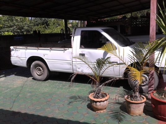 ขายisuzuตอนเดียว ขายisuzuตอนเดียว