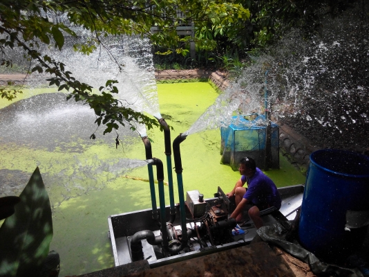 ขายเรือรดน้ำสแตนเลส 4เขา เครื่องZB600