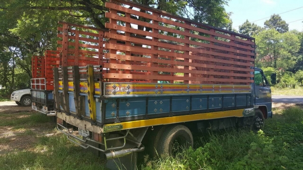 ขาย 6 ล้อ NPR ปี 33 คัสซีสวยตลอดเส้น เครื่องดีไม่หลวมไม่ไอ เฟืองท้าย F แต่งเกียร์สั้นแล้ว คอกสวยพร้อมบรรทุก ทะเบียนพร้อมโอน