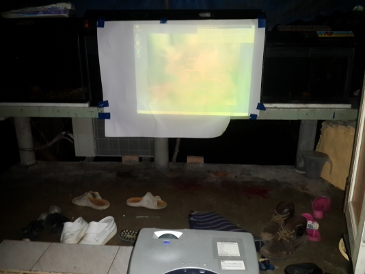 โปรเจคเตอร์